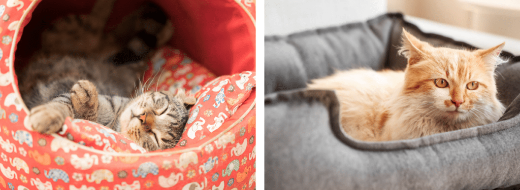 Till vänster i bild ses den klotformade typen av kattbädd som ofta är mest uppskattad av små- och mediumstora katter. Till höger ses den korgformade typen av kattbädd som är bäst för riktigt stora katter.